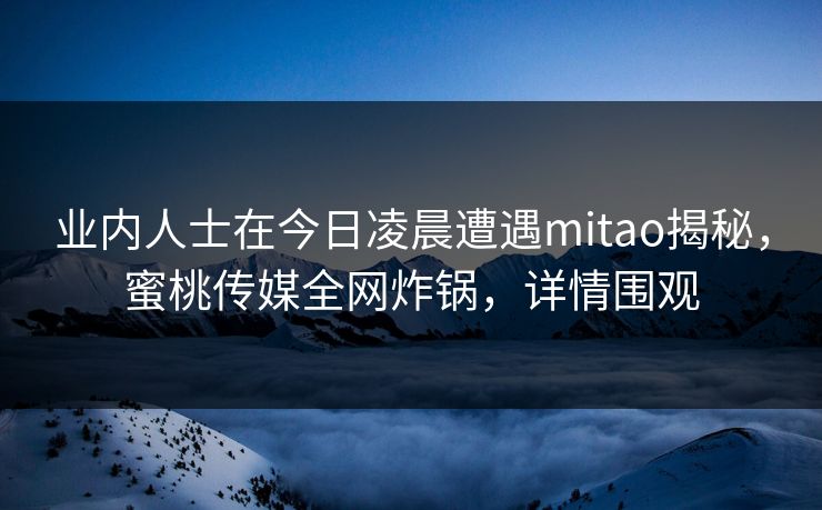 业内人士在今日凌晨遭遇mitao揭秘，蜜桃传媒全网炸锅，详情围观